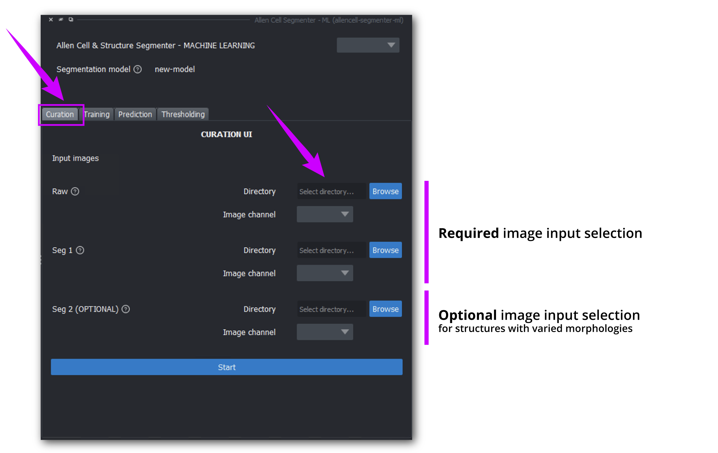 screen 1 of curation tab of Segmenter ML plugin in *napari*